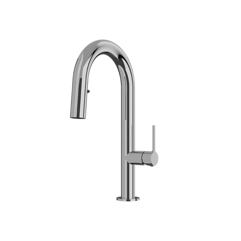 default-kitchen-faucets-rcar81d2.png